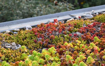 the cost of Three Cups Corner green roof installation