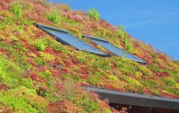 Three Cups Corner living roof systems