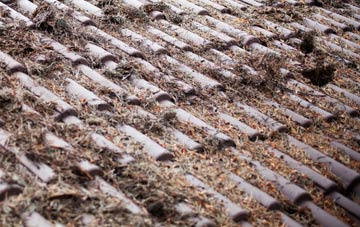 Three Cups Corner roof cleaning companies