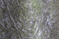 Three Cups Corner fibreglass roof work